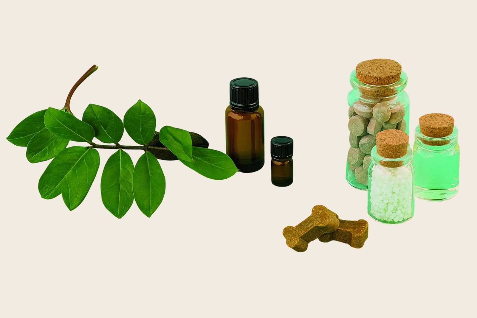 Botanical ingredients and glass apothecary jars